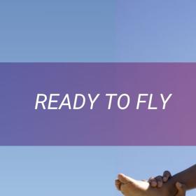 readyto_fly_5.jpg